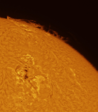 2024-08-13-1051_5-red-L-Sun_HA_PM_ZWO ASI183MM_lapl3_ap6_conv-UP