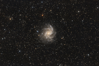 C12-Nuc-Lum-2024-II-AS