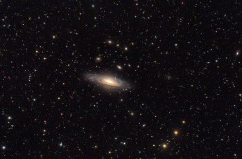 C30-Nuc-AdamBlock-AS