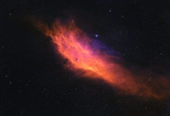 Calif-Home-A503-2025-NB3-AS-CUTZ__C3