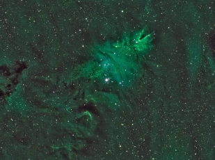 ChristmasT-HST-v2-CC