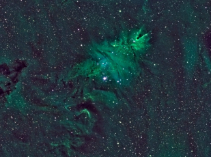 ChristmasT-HST-v2-DS