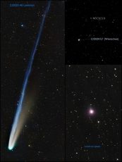 Comets-MixCollage-06-Nov-2025-09-26-AM-4857__C3