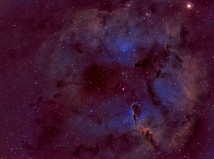 Elephant TS80f Home HST