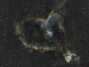 Heart 2021 HST G2 TS80