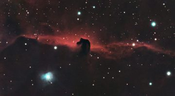 HorseHead-S50-Nuc-120ks-DR-2025-cut__S50