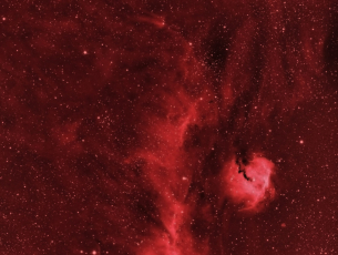 IC2177-Racek-HED-Nuc-BiO-PCC