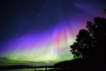 IMG_7599-CC-X1-x2-x3