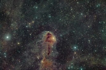 LBN-UnknCep-A503-Nuc-ASbZ__C3