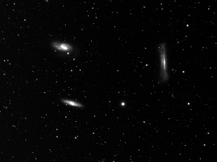 Leo triplet