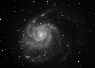M101