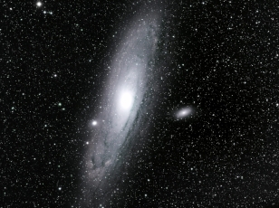 M31