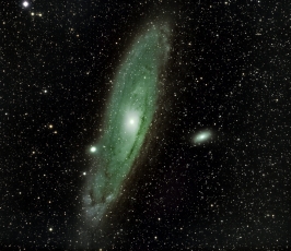 M31