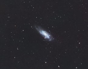 NGC4559-Koi-Home-C9C3-ClassicCUT__C3