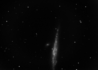 NGC4631 C9 Velryba