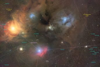 RhoOph-20250523-Nuc-A5R-Rho1-2-MKbg-AS-anno__C3