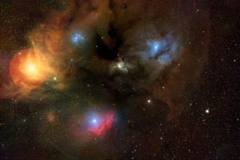 RhoOph-20250523-Nuc-A5R-Rho1-2-MKbg-ASbZ__C3