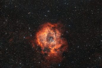 Rosette-Foraxx-AS-LumZ__C3