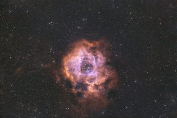 Rosette_Foraxx2_Lum__C3