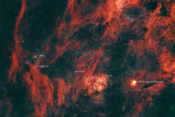 SH2-115-MotylDarkNewFull-RC-ASZ-MKAnno