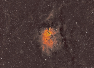 SH2-86-HED-G2-Nuc-BiC-202207