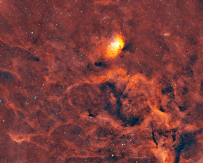 Sh2-101_Tulipan-VZOR3-AS