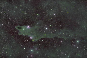 Shark-LDN1235-ClassicZ