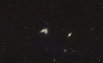 Siamese-Nuc-C9-20250404-ASredZcut__C3