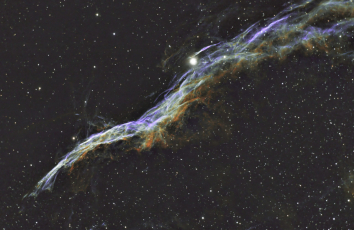 Witch-Nuc-C9R-noOAG-ULT-20230528